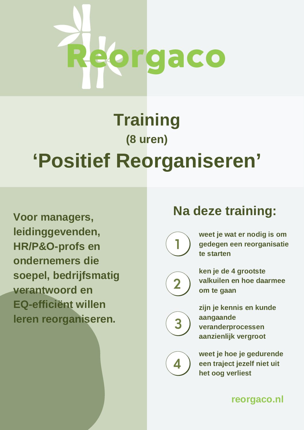 Alternative view of Leergang Positief Reorganiseren